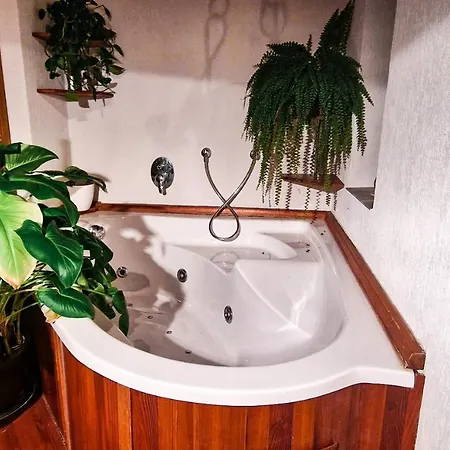 Trebec House * Borovany (Ceske Budejovice)